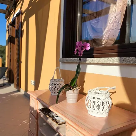 Charming With Dreamy Terrace Arzachena