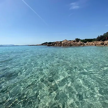 Charming With Dreamy Terrace Apartmán *